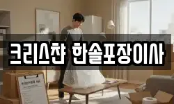 크리스챤 한솔포장이사