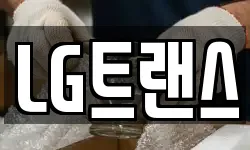 LG트랜스