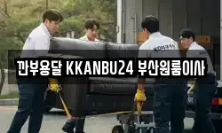 깐부용달 KKANBU24 부산원룸이사