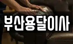 부산용달이사