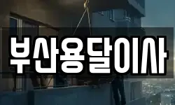 부산용달이사