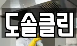 도솔클린
