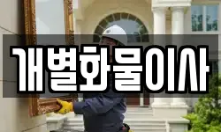 개별화물이사