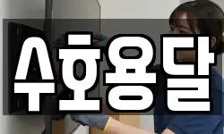 수호용달