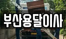 부산용달이사