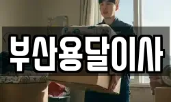 부산광역시 남구 용호동 이사,용달이사,포장이사,원룸이사,보관이사