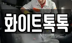 화이트톡톡