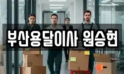 부산용달이사 원승현