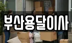 부산용달이사