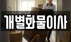 개별화물이사