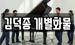 김덕종 개별화물