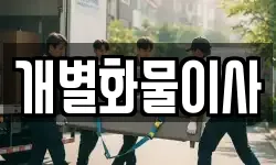 개별화물이사
