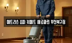 매트리스 소파 카페트 새로클린 부산북구점