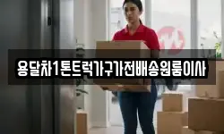 용달차1톤트럭가구가전배송원룸이사