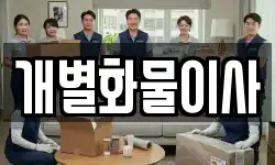개별화물이사