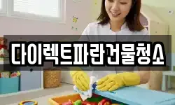 다이렉트파란건물청소