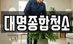 대명종합청소