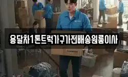 용달차1톤트럭가구가전배송원룸이사