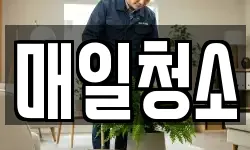 매일청소