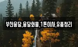 부산용달,용달화물,1톤이사,유품정리