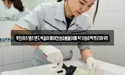 부산시스템스탠드벽걸이에어컨청소통돌이세탁기청소싹쓰리하우스
