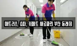 매트리스, 소파, 카페트 새로클린 부산 동래점