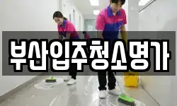 부산입주청소명가