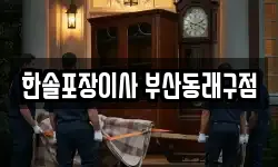 한솔포장이사 부산동래구점