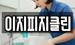 이지피지클린