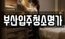부산입주청소명가