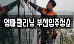 엄마클리닝 부산입주청소