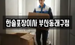 한솔포장이사 부산동래구점