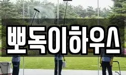 뽀독이하우스