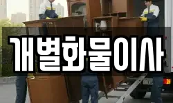 개별화물이사