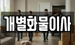 개별화물이사