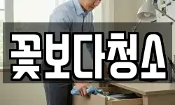 꽃보다청소