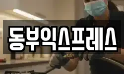 동부익스프레스