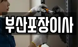 부산포장이사