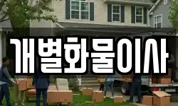 개별화물이사