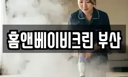 홈앤베이비크린 부산