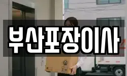 부산포장이사