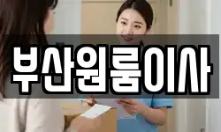 부산원룸이사