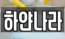 하얀나라