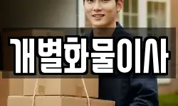 개별화물이사