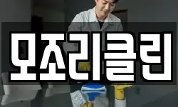 모조리클린