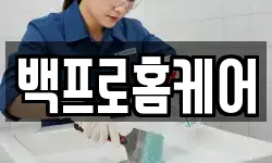 백프로홈케어