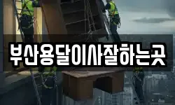 부산용달이사잘하는곳