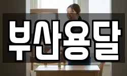 부산용달