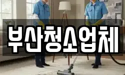 부산청소업체