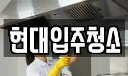 현대입주청소